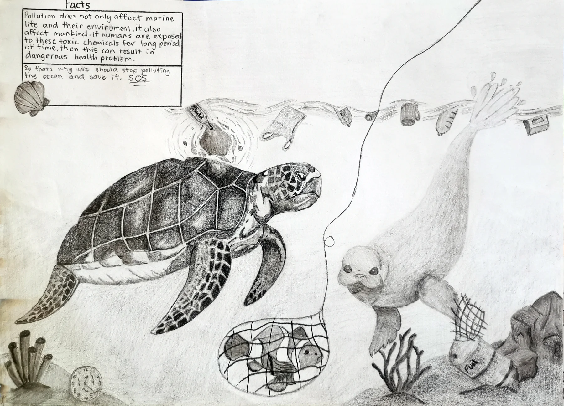 Complete student graphite drawing using sea animals and discarded objects to explore ocean pollution